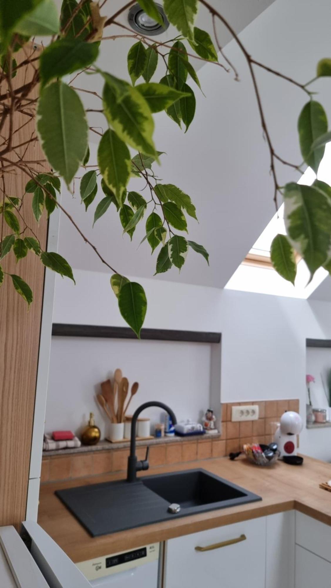 Apartma Katarina ブレッド エクステリア 写真